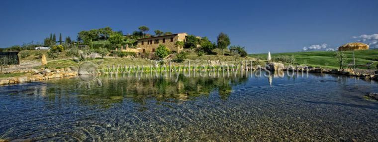 Il Vecchio Podere di Pienza - Ginestra